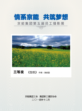 PG电子·仿照器(试玩游戏)官方网站