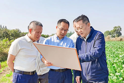 PG电子·仿照器(试玩游戏)官方网站