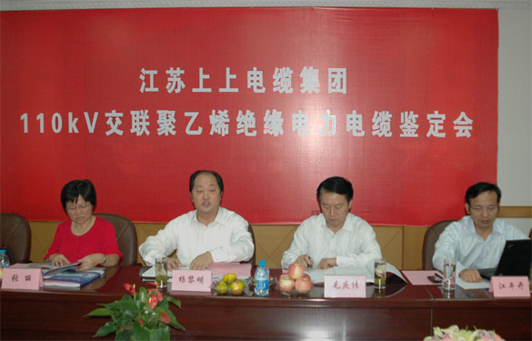 金年会额定电压110kV交联聚乙烯绝缘电力电缆产品通过判断