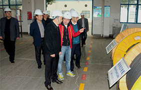 2015年11月22日，郎溪县党政代表团一行来金年会电缆旅行考察