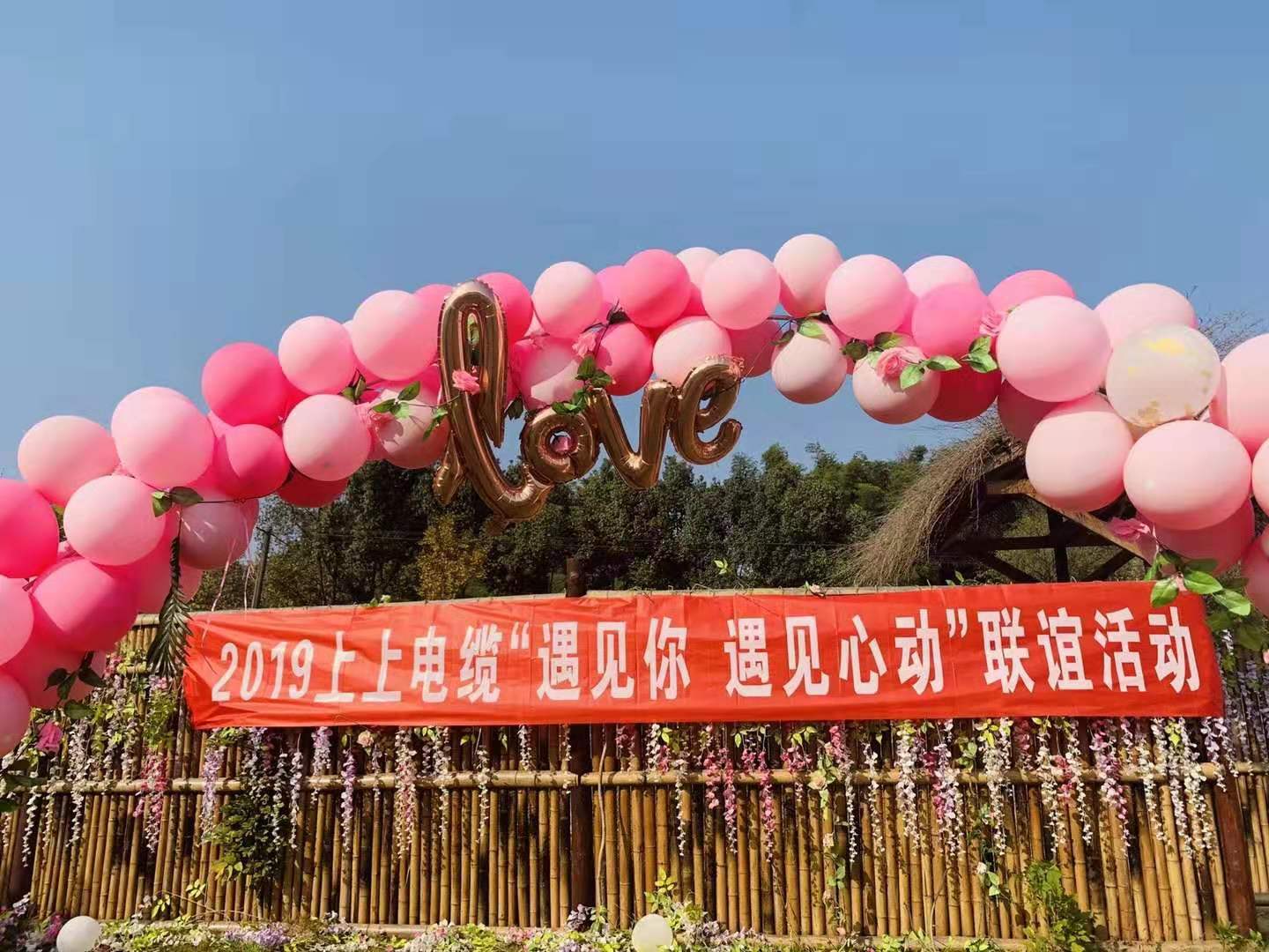 遇见你?遇见心动——金年会电缆乐成举行2019年只身青年联谊运动