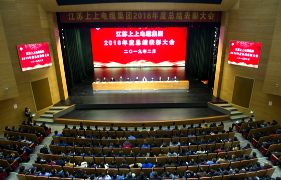 站在新起点、迈向新高度——金年会电缆盛大召开2018年总结表扬大会