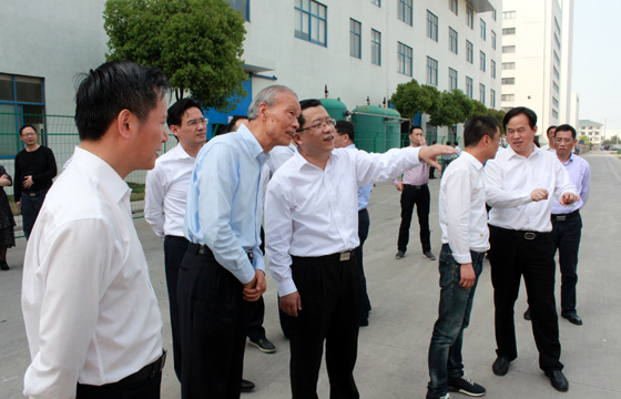 常州市市长丁纯来金年会电缆督查新能源项目建设