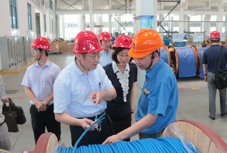 2016年7月22日，泸州市委常委、副市长王建翔一行来金年会电缆旅行考察