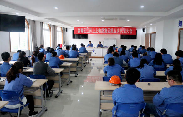 2016年4月20日，共青团金年会第五次代表大会召开