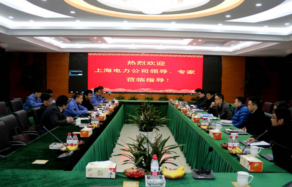 上海电力公司、上缆所向导、专家一行来金年会电缆交流考察
