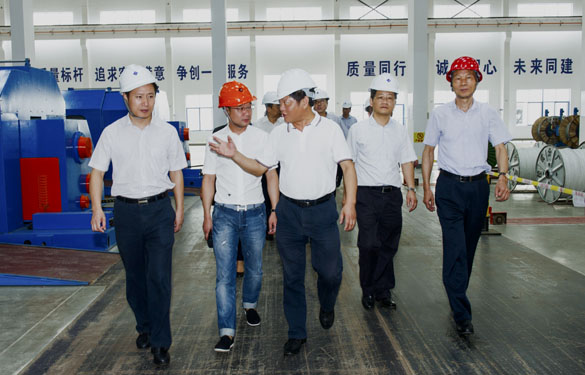 金坛区党政向导来金年会电缆旅行考察
