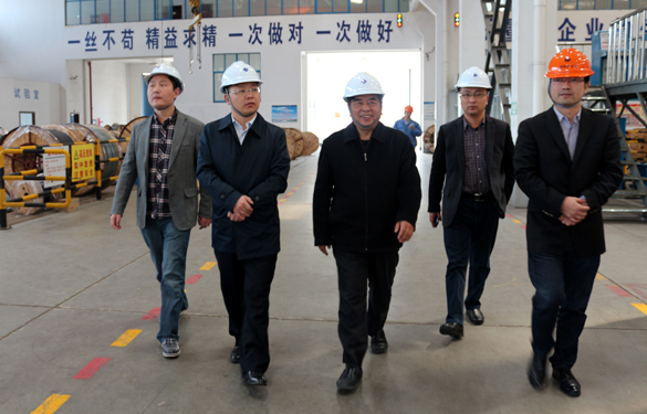 2015年3月26日，江苏省射阳县向导一行来金年会电缆视察