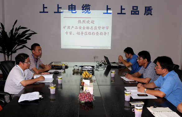 金年会顺遂通过安标现场监视评审