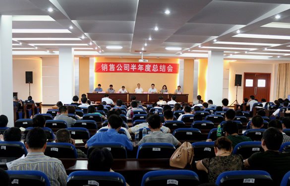 金年会召开2013年销售公司半年度总结会