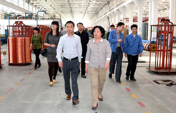 江苏省环保厅总工程师刘建琳来金年会集团调研
