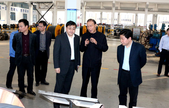 常州市委副书记、市政府党组书记费高云来金年会集团调研