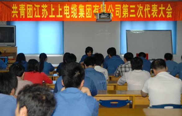 共青团金年会第三届代表大会暨换届选举大会胜利召开