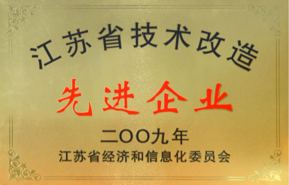 金年会获“2009年江苏省手艺刷新先进企业”称呼