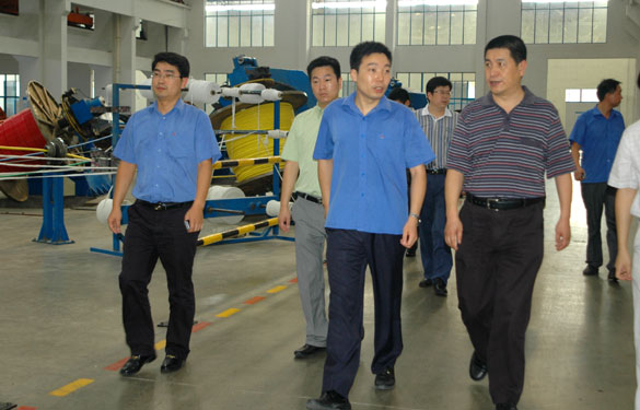 淮南市王市长一行来金年会旅行考察