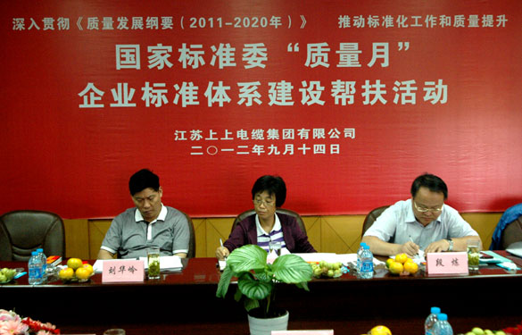 国标委“质量月”专家组到金年会检查指导事情