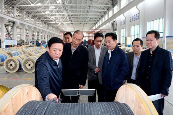 4月25日，青海省海南州州长来金年会电缆考察