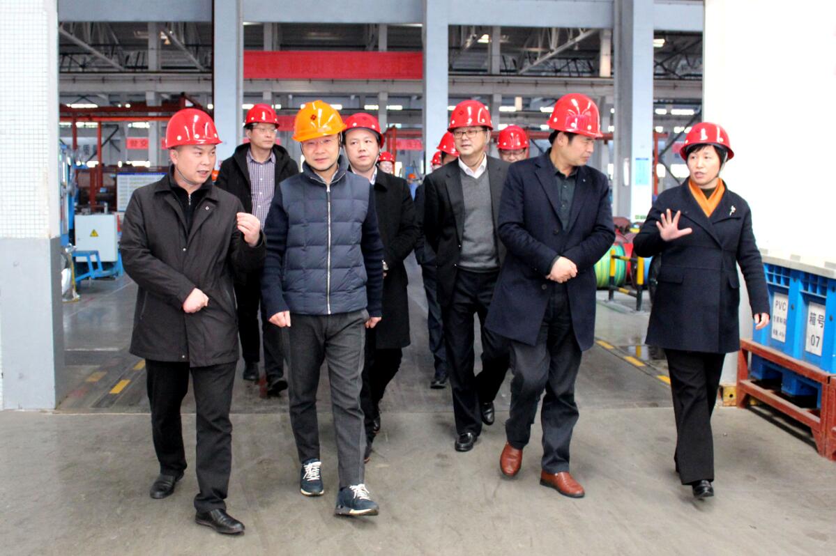 2019年3月7日，广安市岳池县考察团来金年会电缆旅行考察