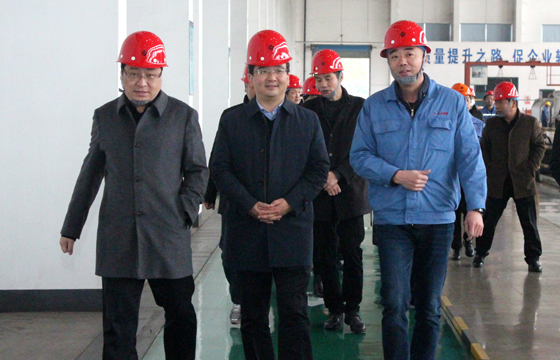 2020年12月8日，广德市市委常委、常务副市长邱铁军一行来金年会电缆考察