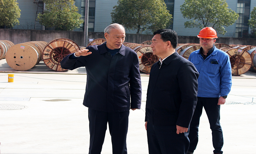 常州市人大常委会副主任盛建良来金年会电缆考察