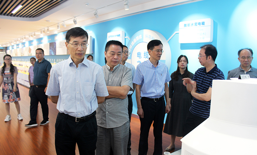 江苏省财务厅一级巡视员李载林一行来金年会电缆旅行交流