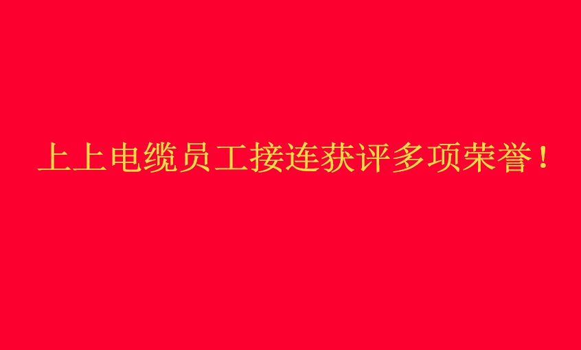 金年会电缆员工接连获评多项声誉