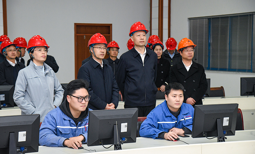溧水区党政代表团来金年会电缆考察