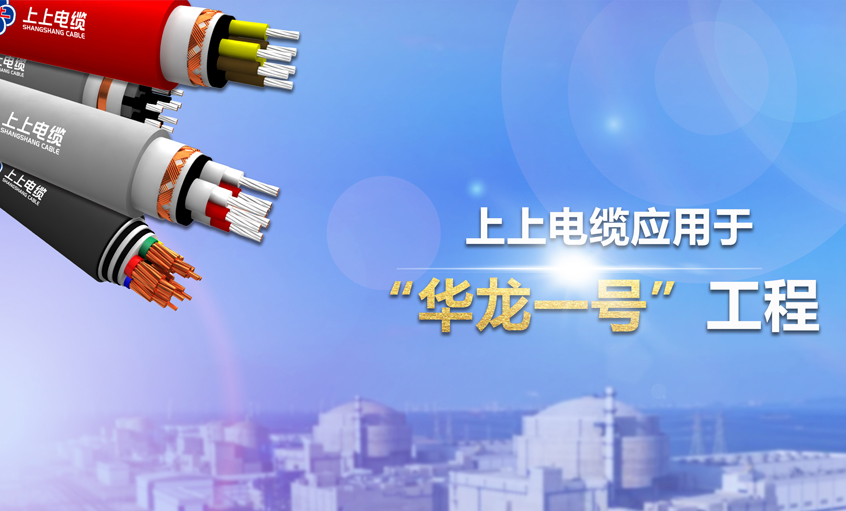 金年会电缆荣获2023年度中国电工手艺学会“科技前进奖二等奖”