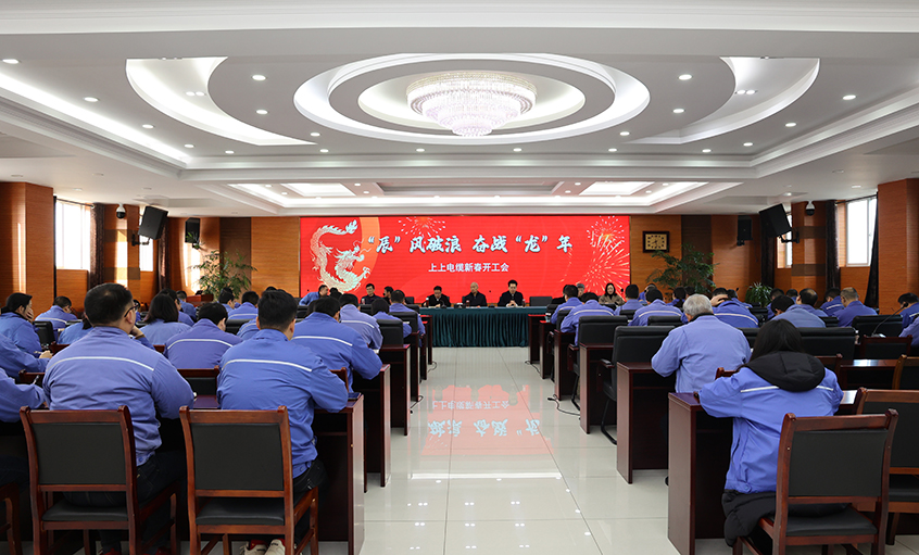 “辰”风破浪，奋战“龙”年——金年会电缆开工大吉