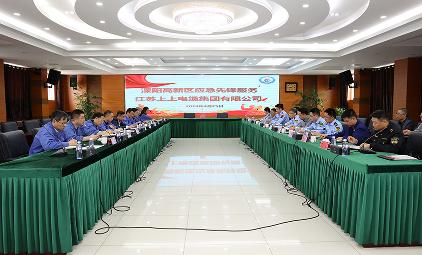 金年会电缆与溧阳高新区综合治理局开展党建结对共建运动