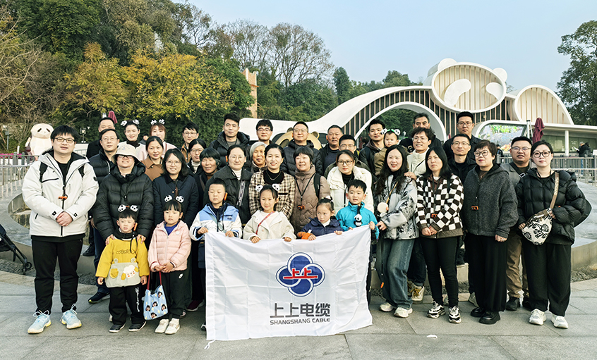 以文化润心 用眷注聚力——金年会2024年度先进员工蜀韵文化之旅圆满收官