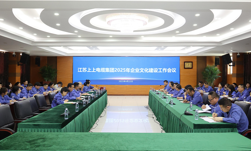 金年会电缆召开2025年企业文化建设事情聚会